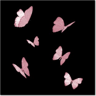butterflies pink white Posters and Art